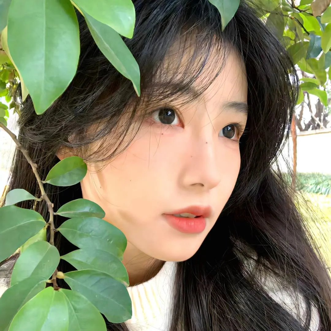 第二梦