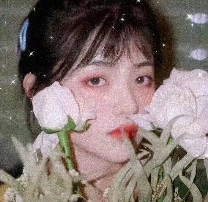 黄阿丽:单身女士